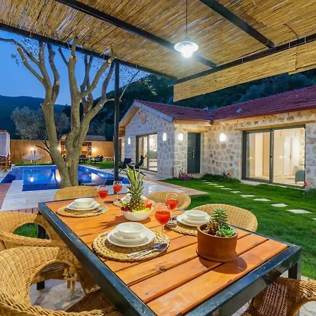 Kirlangic Evi Villa *