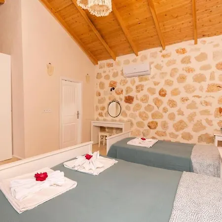 Kirlangic Evi Villa *